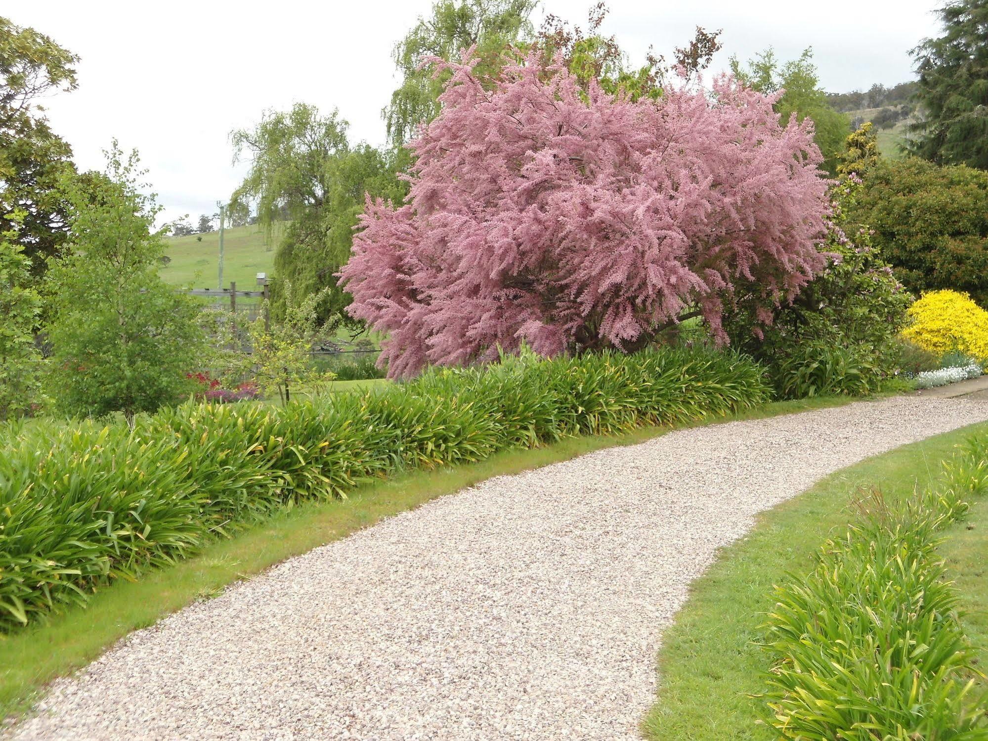 Roslyn House Bed & Breakfast Bushy Park 외부 사진
