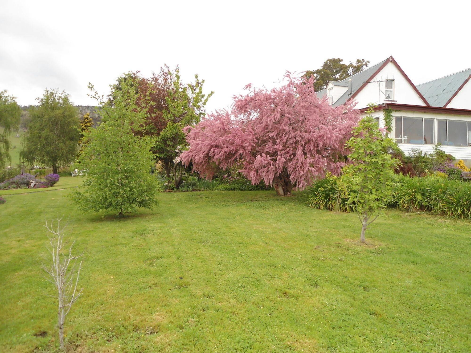 Roslyn House Bed & Breakfast Bushy Park 외부 사진