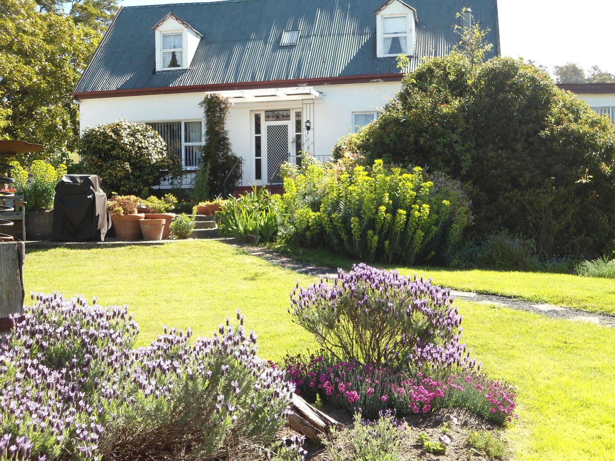 Roslyn House Bed & Breakfast Bushy Park 외부 사진