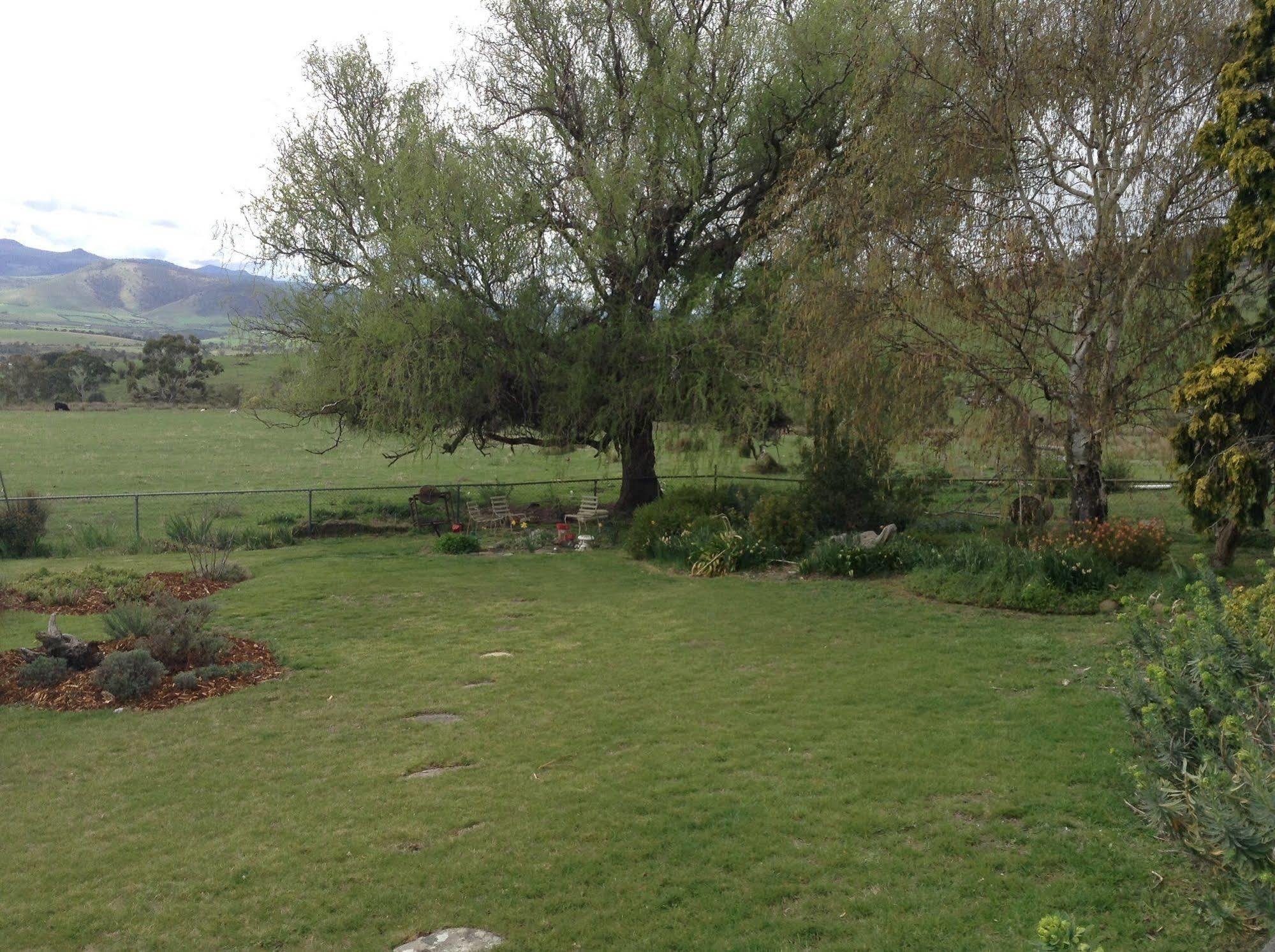 Roslyn House Bed & Breakfast Bushy Park 외부 사진
